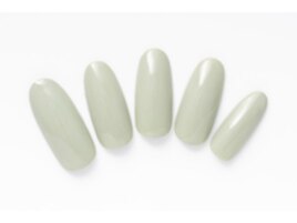 Winter collection冬の新カラー