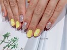 定額シンプルコース