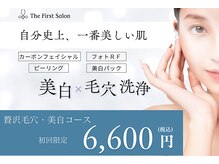 ザ ファーストサロン(The First Salon)/美白・毛穴コース