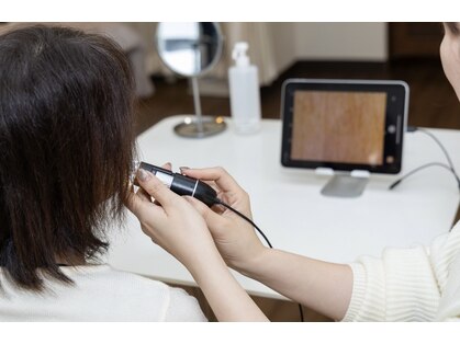 エピックライン(Epic line)の写真