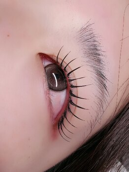 ルチア 高田馬場/フラットラッシュ140本