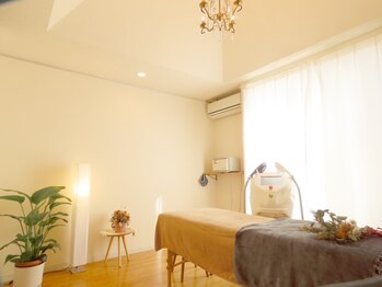 ハル ハロ(halu halo)/