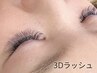 【全員】3Dボリュームラッシュ100束+TR