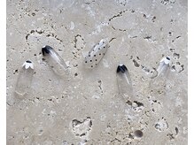 ツリーハウスネイル(tree house nail)/ハンド定額￥5900