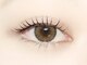 フリーアイラッシュ 五反田(free eyelash)の写真