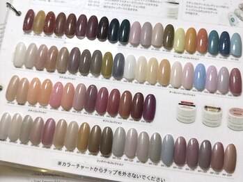 アンク(AnK)/カラーチャート2