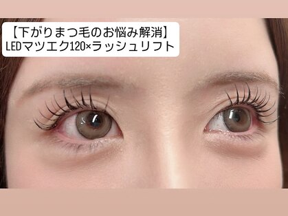 メイズ(May's)の写真