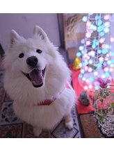 ハナコ(Hanako)&nbsp;斉藤 夢子