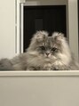ココ ウェルネススクエア新栄店(COCO) 猫ちゃん飼ってます♪