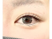 ラヴィラ(La villa)/フラットラッシュ　ナチュラル