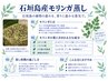 【美容/温活】石垣島モリンガ蒸し40分　￥4,400