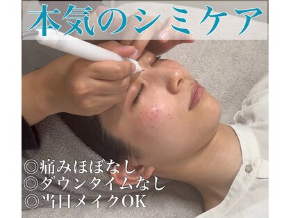 コリー(Kolly)の写真