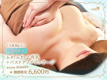 シャルムココ 蔵前店(CharmeCoCo)の写真/【バストケア専門店】背中・脇の贅肉を流し美バストへ★育乳マッサージ¥6,600~《完全都度払いOK》