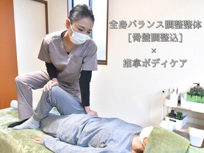 プロテア(Protea)の写真