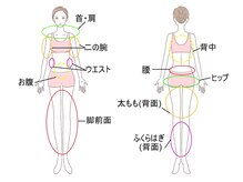 美源/ハイパーナイフ部位表