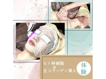 メイ(Mey)の写真