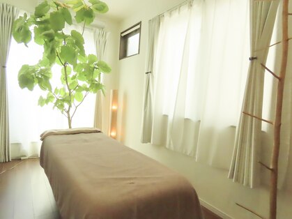 フォレストムーン(forest moon)の写真