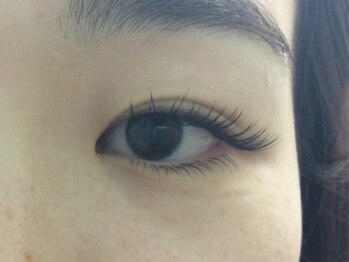 シュシュ(chou chou)/下セーブル50本(chouchou吉祥寺)