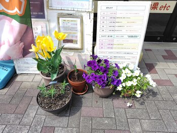 ボディケアサロン りらっくす/店前の花