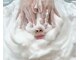 リリーパーチェ(lilypace)の写真