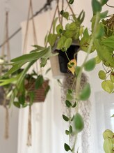 ブルーム(B.LOOM)/高崎市リンパマッサージ