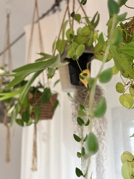 ブルーム(B.LOOM)/高崎市リンパマッサージ