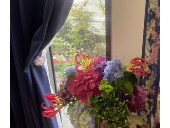 サラ ビューティ マジック(Sara Beauty Magic)