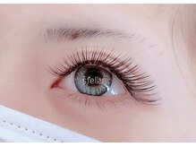 ステラァ(stellar)/ボリュームラッシュ240本