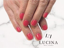 Y -984 シェラック赤ワンカラー