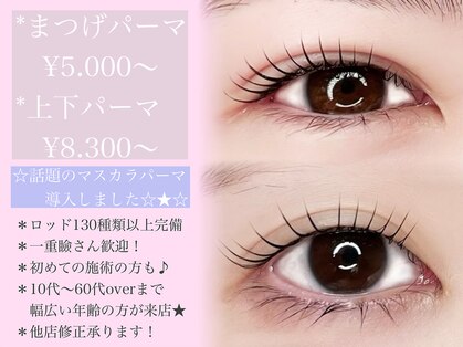 ドール アイラッシュ(DOLL eyelash)の写真