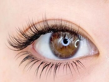 カシータ 大在店(Casita)の写真/【1本に2本集中】4500円で叶う驚異のモチと濃さ！隙のないアイライン効果で朝のメイクを時短◎