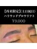 【再来限定】《土日祝日》ハリウッドブロウリフト