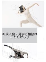 ディーディーディー(DDD)&nbsp;新規 入会