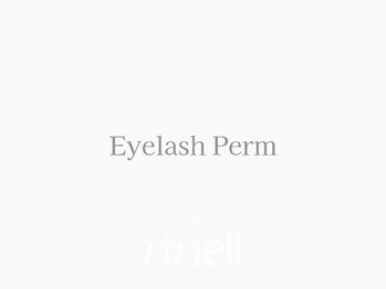 ヴィヴィエル 心斎橋店(viviell)/まつ毛のメニューです★