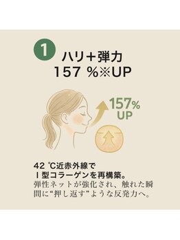 ヘルディン(heldin +555)/I型コラーゲンの再構築