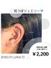 今話題の耳つぼジュエリー☆初回お試し