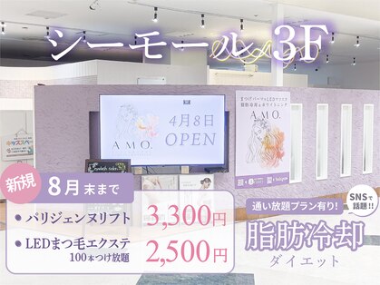 アモ(AMO)の写真