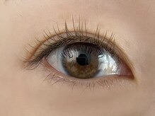 チェミール(CHEMIR)/マツエク/フラットラッシュ