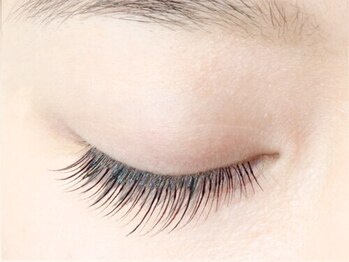 ダブリューアイキャンディー(W eye candy)/フラットラッシュ80本 マツエク