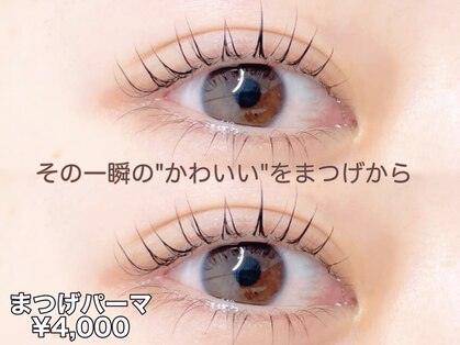 ルナ(Lunaria)の写真