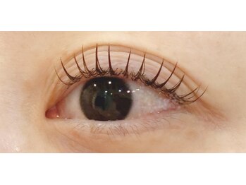 ベリール 南平岸店(Be'Leel)/束感160本