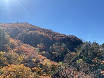 リヴ/剣山の紅葉
