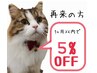 １ヶ月以内のご来店で3000円以上で5％OFF！同時は１０％OFF