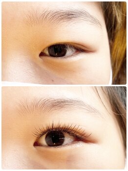 バードアイ(bird eye)/フラットラッシュ140本