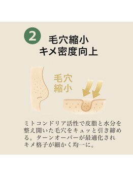 ヘルディン(heldin +555)/毛穴縮小、キメ細かく