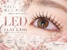 シュガー 鶴ヶ峰店(Sugar)