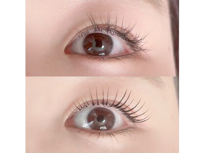 アルト(Halte)の写真