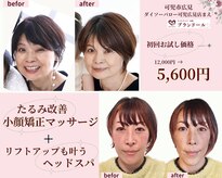 プランドール