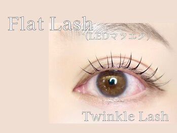 ティンクルラッシュ(Twinkle lash)/《札幌》LEDフラットラッシュ