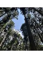 ほぐしや本舗 衣山店 森林浴で心身共に癒されに山に行きます。
